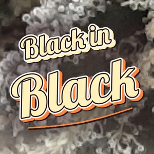 Black in Black Cannabis Strain