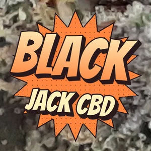 Black Jack CBD Cannabis Strain