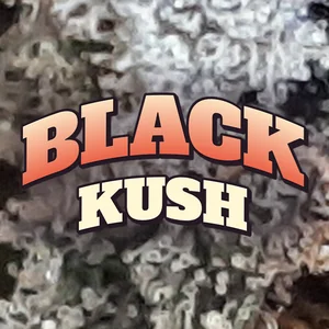 Black Kush Cannabis Strain