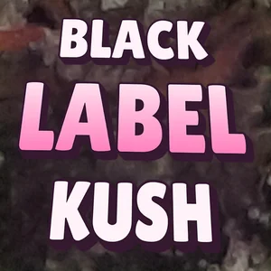 Black Label Kush Cannabis Strain