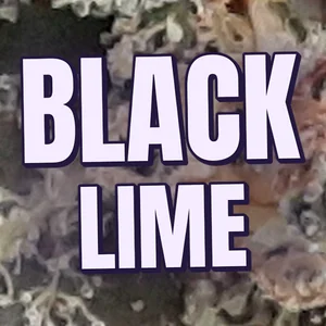 Black Lime Cannabis Strain