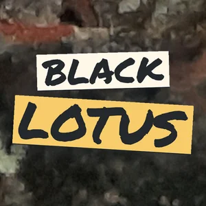 Black Lotus Cannabis Strain