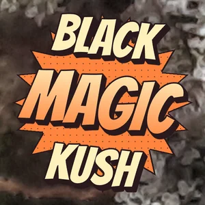 Black Magic Kush Cannabis Strain