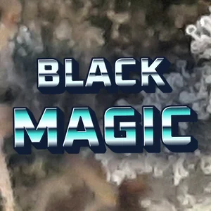 Black Magic Cannabis Strain