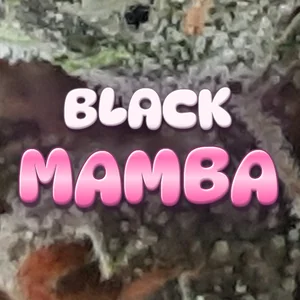 Black Mamba Cannabis Strain