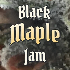 Black Maple Jam Cannabis Strain