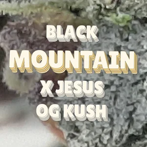 Black Mountain x Jesus OG Kush Cannabis Strain
