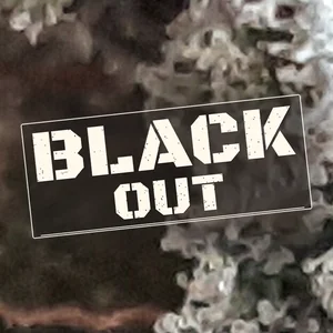 Black Out Cannabis Strain