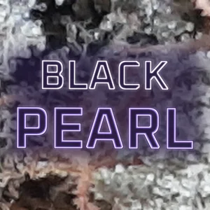 Black Pearl Cannabis Strain