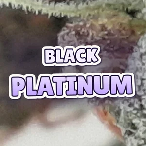 Black Platinum Cannabis Strain