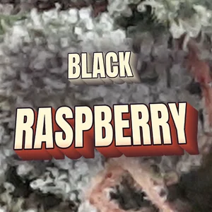 Black Raspberry Cannabis Strain