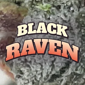 Black Raven Cannabis Strain