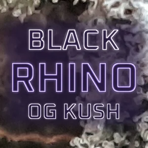 Black Rhino OG Kush Cannabis Strain