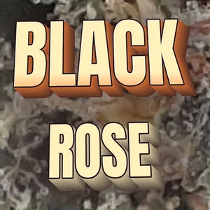 Black Rose Cannabis Strain
