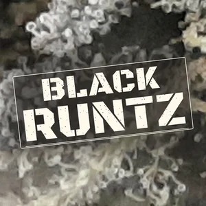 Black Runtz Cannabis Strain