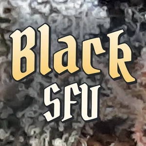 Black SFV Cannabis Strain