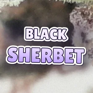 Black Sherbet Cannabis Strain