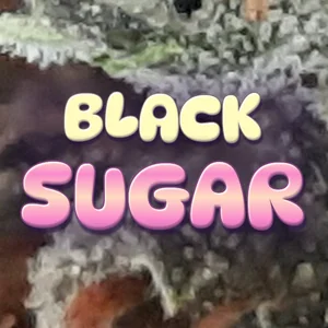 Black Sugar Cannabis Strain