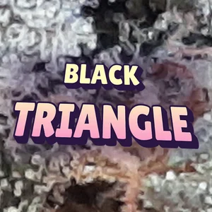 Black Triangle Cannabis Strain
