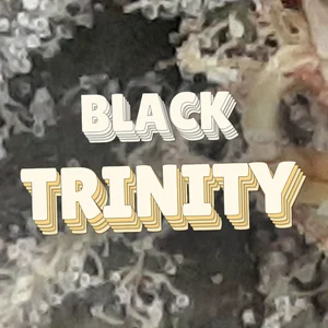 Black Trinity Cannabis Strain