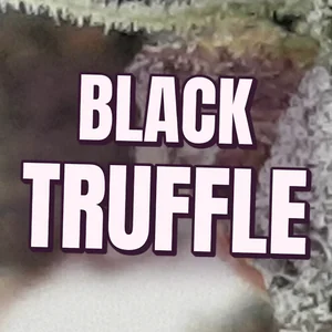 Black Truffle Cannabis Strain