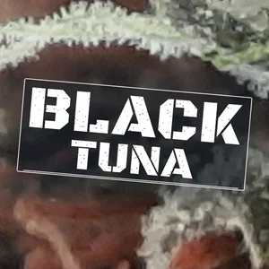 Black Tuna Cannabis Strain