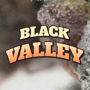Black Valley Cannabis Strain