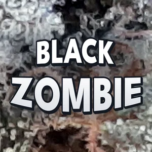 Black Zombie Cannabis Strain