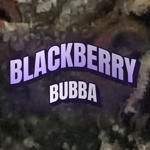 Blackberry Bubba Cannabis Strain