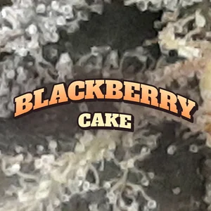 Blackberry Cake Cannabis Strain