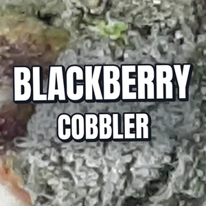 Blackberry Cobbler Cannabis Strain