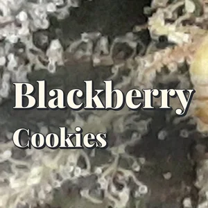 Blackberry Cookies Cannabis Strain