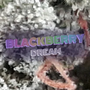 Blackberry Dream Cannabis Strain