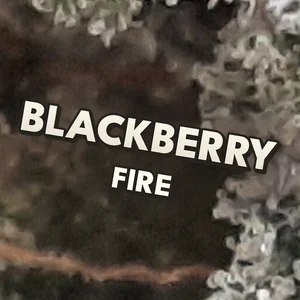 Blackberry Fire Cannabis Strain