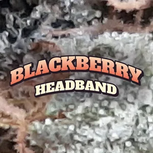 Blackberry Headband Cannabis Strain