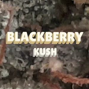 Blackberry Kush Cannabis Strain