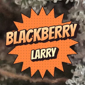 Blackberry Larry Cannabis Strain