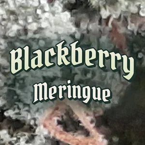 Blackberry Meringue Cannabis Strain