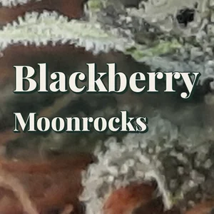 Blackberry Moonrocks Cannabis Strain