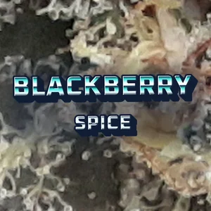 Blackberry Spice Cannabis Strain