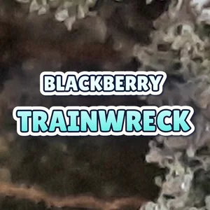 Blackberry Trainwreck Cannabis Strain