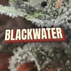 Blackwater Cannabis Strain