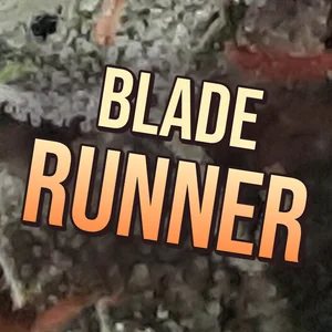 Blade Runner Cannabis Strain