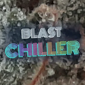 Blast Chiller Cannabis Strain