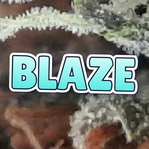 Blaze Cannabis Strain