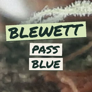 Blewett Pass Blue Cannabis Strain