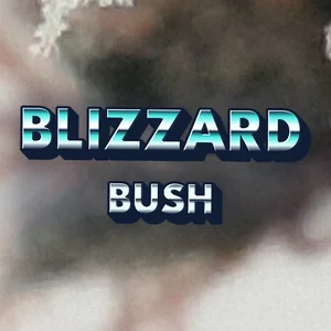 Blizzard Bush Cannabis Strain