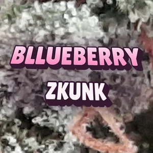 Bllueberry Zkunk Cannabis Strain