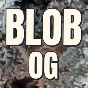 Blob OG Cannabis Strain