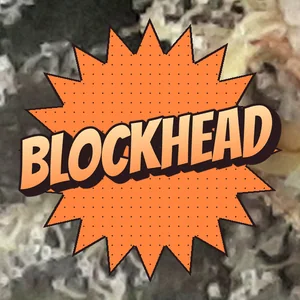 Blockhead Cannabis Strain
